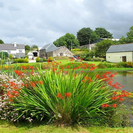 Bed and Breakfast Polhilsa Farm Callington Экстерьер фото