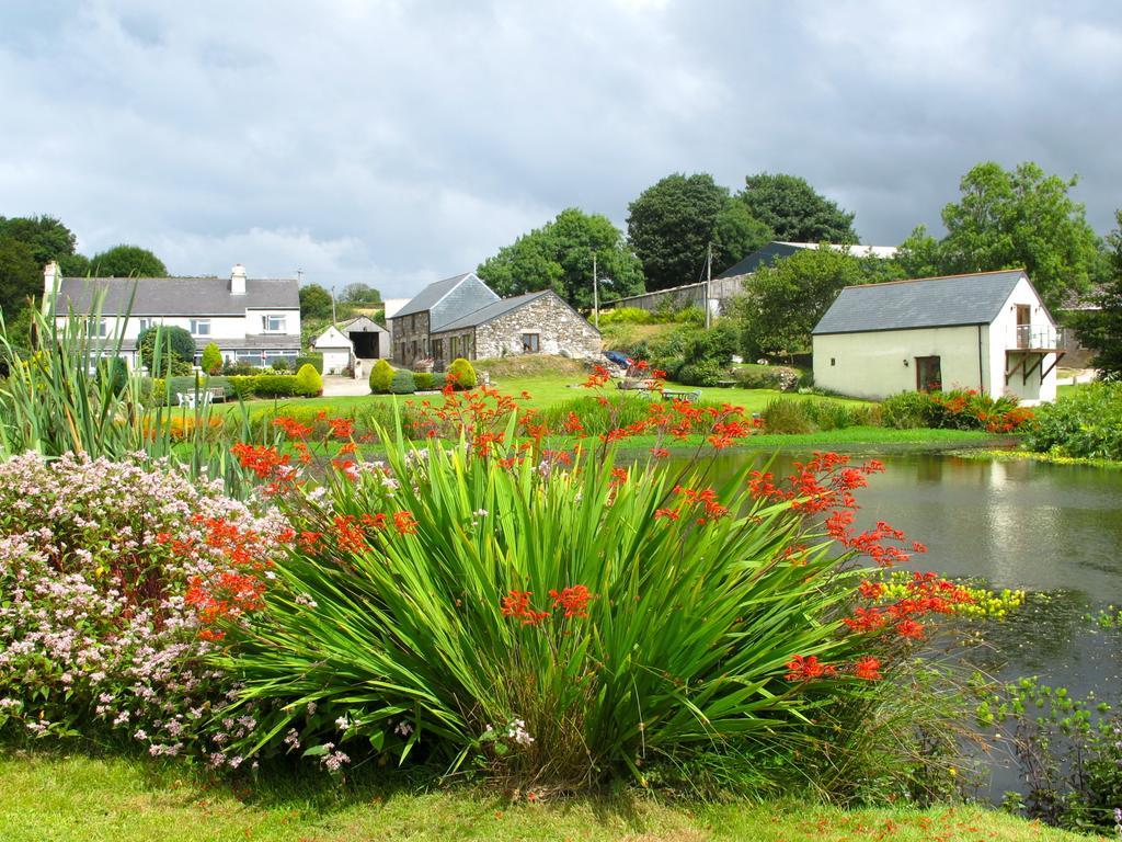 Bed and Breakfast Polhilsa Farm Callington Экстерьер фото
