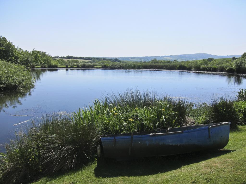 Bed and Breakfast Polhilsa Farm Callington Экстерьер фото