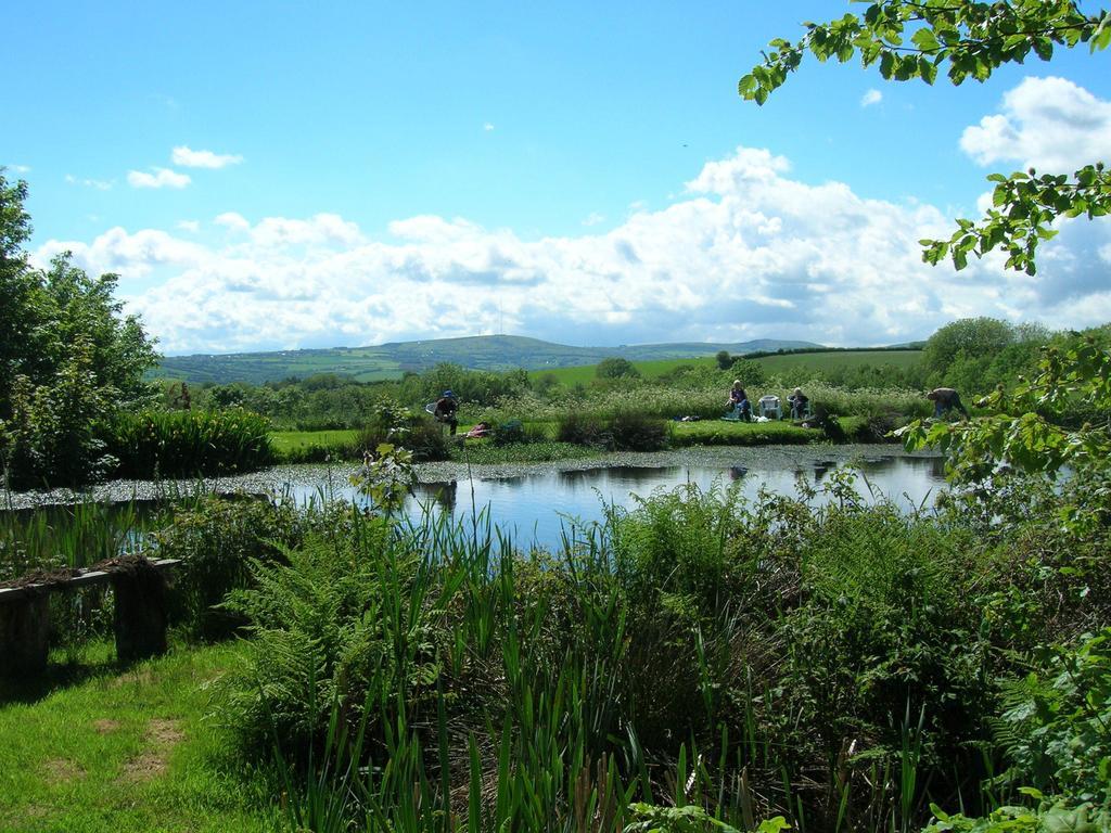 Bed and Breakfast Polhilsa Farm Callington Экстерьер фото