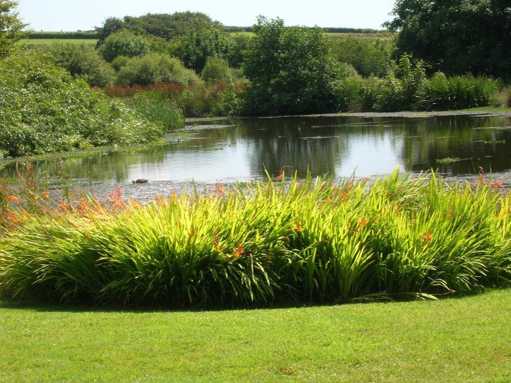 Bed and Breakfast Polhilsa Farm Callington Экстерьер фото